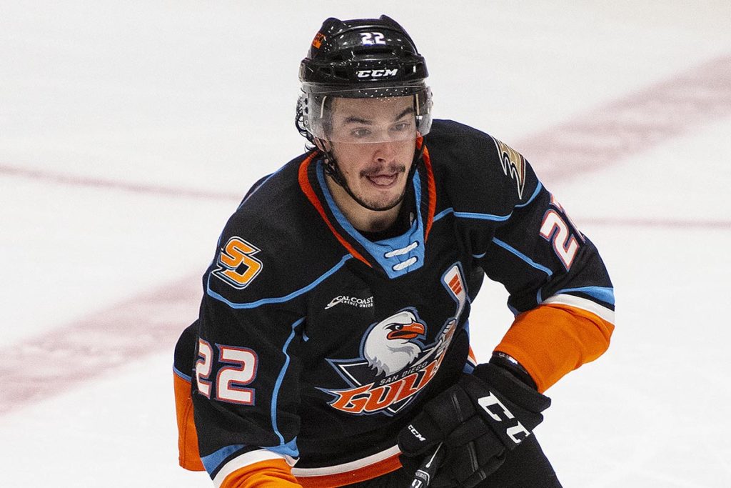 Poturalski finding success in second season with Gulls