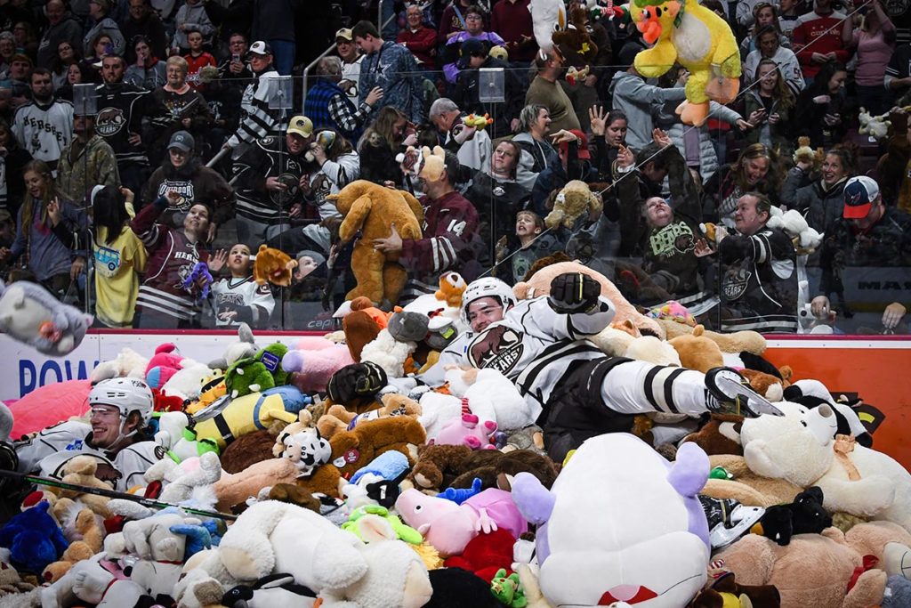 Hershey Bears Fans Toss Record 20,662 Stuffed Animals During 2016 Teddy  Bear Toss
