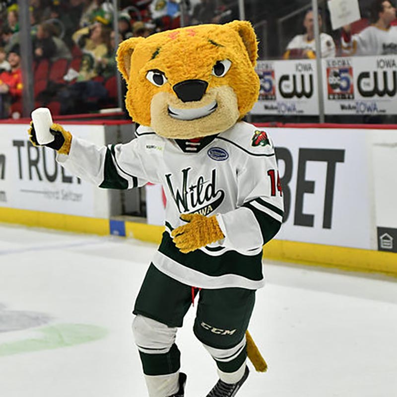 Condors mascot hopes to be top AHL mascot, News