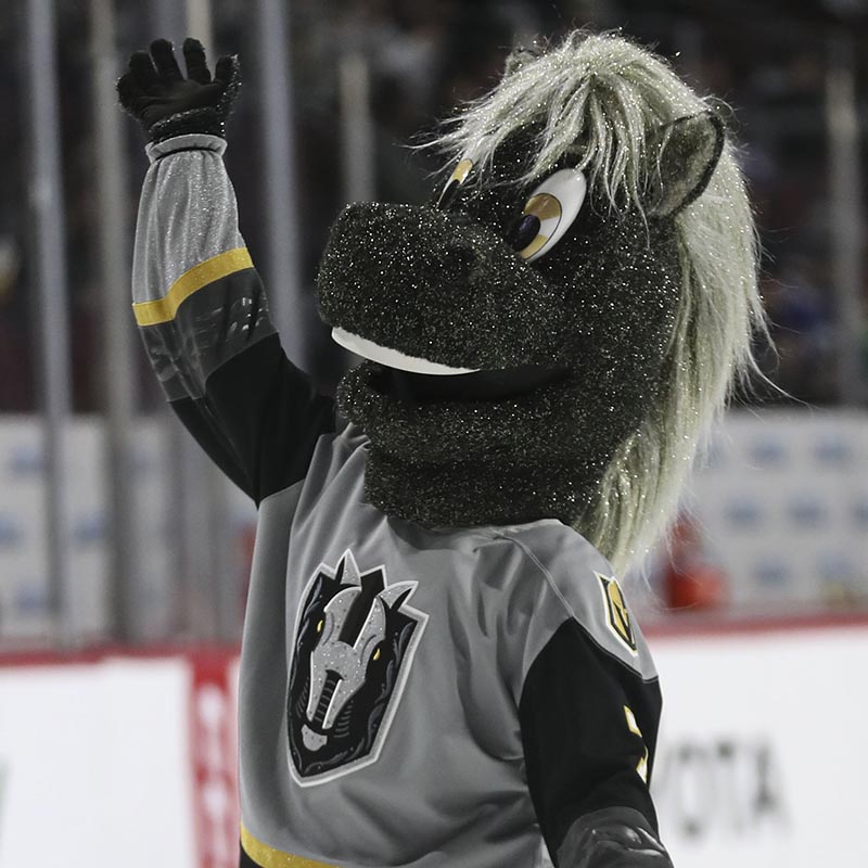 Let's Make Hammy the #1 Mascot in the AHL