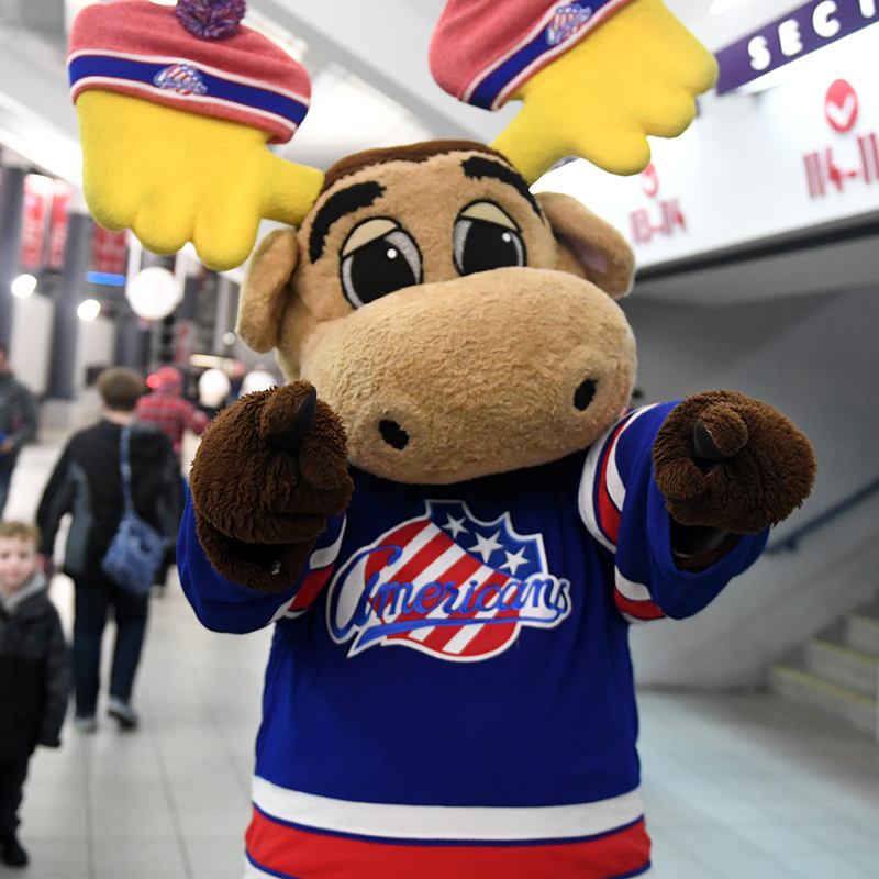 AHL - The second finalist to advance in #MascotMadness is Texas Stars  mascot Ringo! Group C voting is open for the next 48 hours! You can vote  once every hour - make