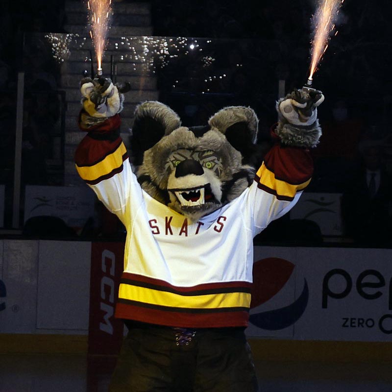 NHL Power Rankings: 25 Greatest AHL Mascots, News, Scores, Highlights,  Stats, and Rumors