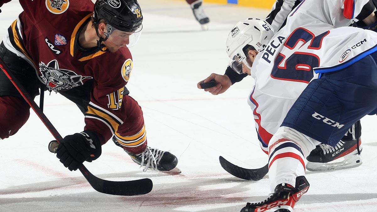 Springfield Thunderbirds fall 4-0 to Chicago Wolves in Game 3 of AHL Calder  Cup Finals