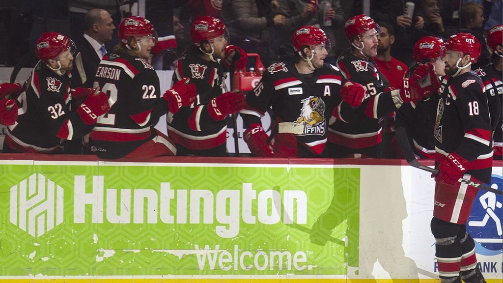 Griffins, Red Wings Extend Affiliation Agreement For Five Years ...