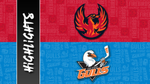 Firebirds vs. Gulls | Feb. 24, 2023