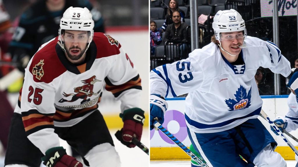 Maple Leafs acquire Timmins, Coyotes get Douglas | TheAHL.com | The ...