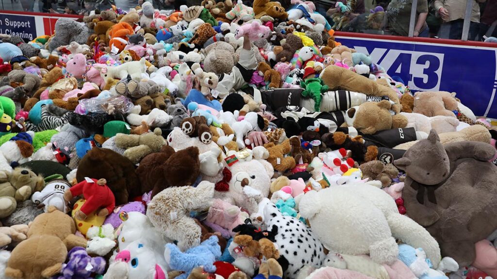 Teddies to fly in Hershey today