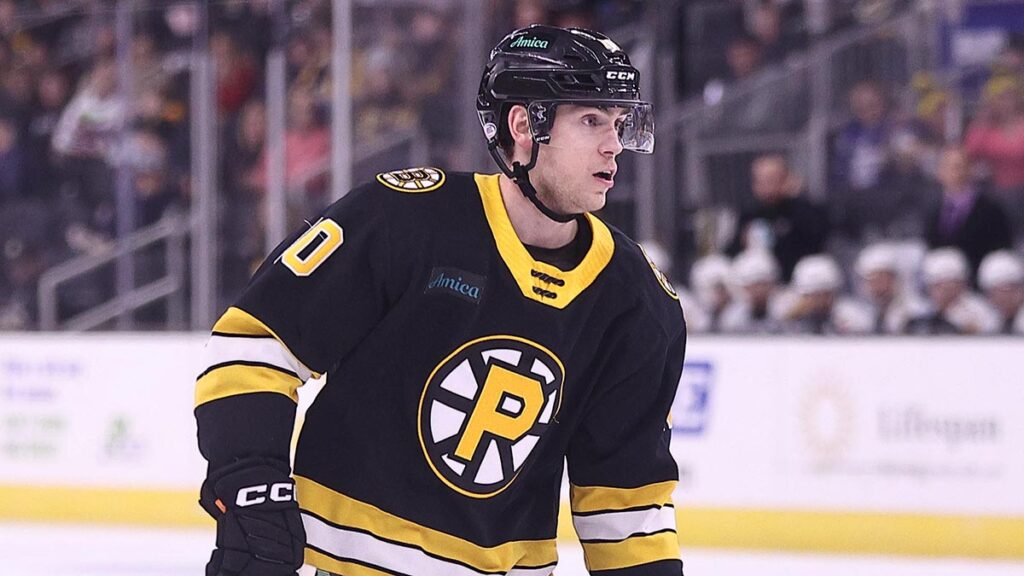 Bruins' Merkulov named AHL Player of the Week | TheAHL.com | The American  Hockey League