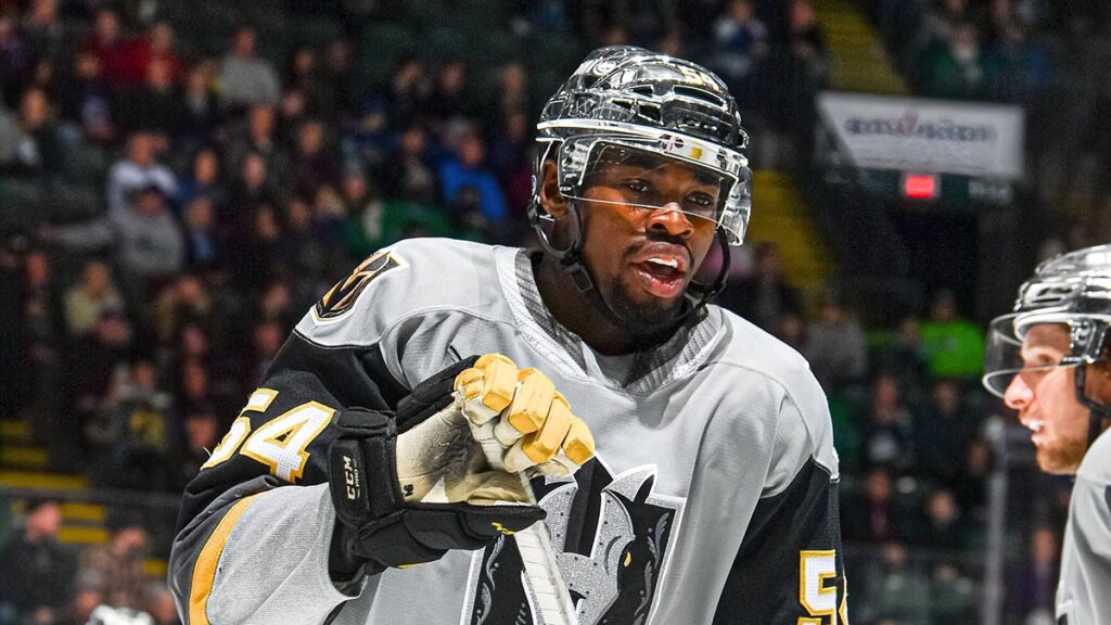 Abbotsford inks forward Loewen