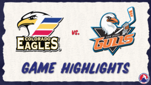 Eagles vs. Gulls | Feb. 3, 2024