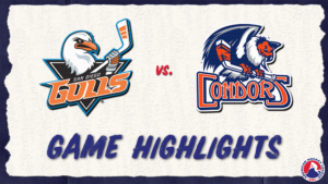 Gulls vs. Condors | Feb. 20, 2024