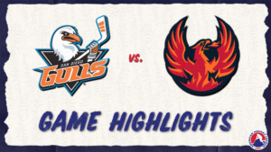 Gulls vs. Firebirds | Nov. 8, 2023