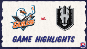 Gulls vs. Silver Knights | Jan. 3, 2024