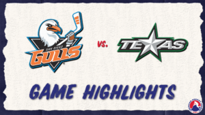 Gulls vs. Stars | Feb. 28, 2024