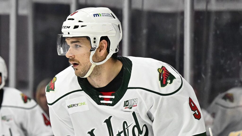 Baddock signs deal with IceHogs