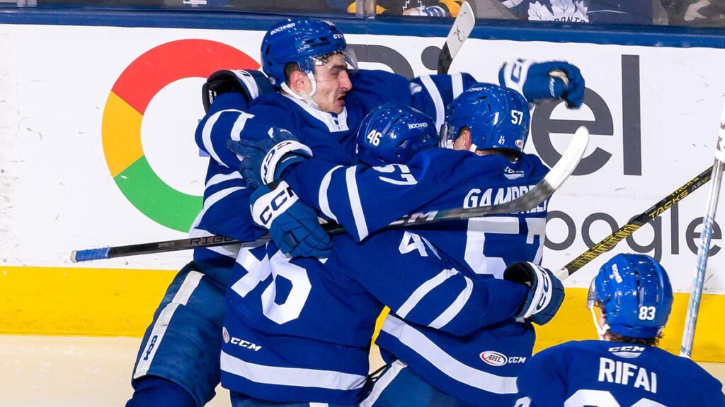 Marlies stay alive with overtime win in Game 2