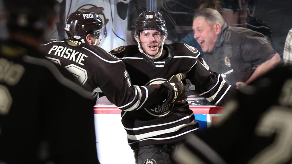 Islanders ink former Calder Cup champion Dubé