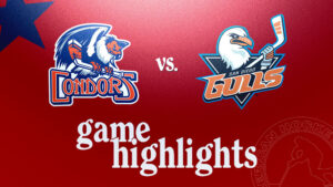 Condors vs. Gulls | Nov. 16, 2024