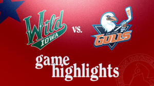 Wild vs. Gulls | Jan. 8, 2025