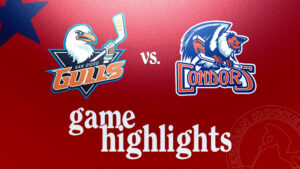 Gulls vs. Condors | Oct. 19, 2024