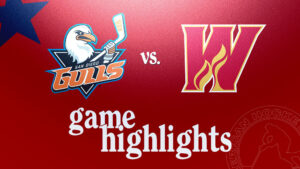 Gulls vs. Wranglers | Oct. 29, 2024