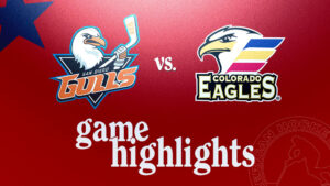 Gulls vs. Eagles | Dec. 20, 2024