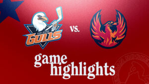 Gulls vs. Firebirds | Nov. 22, 2024