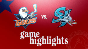 Gulls vs. Barracuda | Nov. 13, 2024