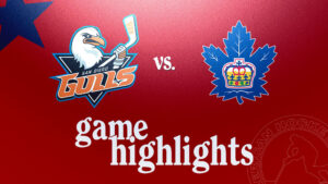 Gulls vs. Marlies | Oct. 13, 2024