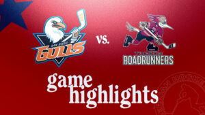 Gulls vs. Roadrunners | Nov. 9, 2024