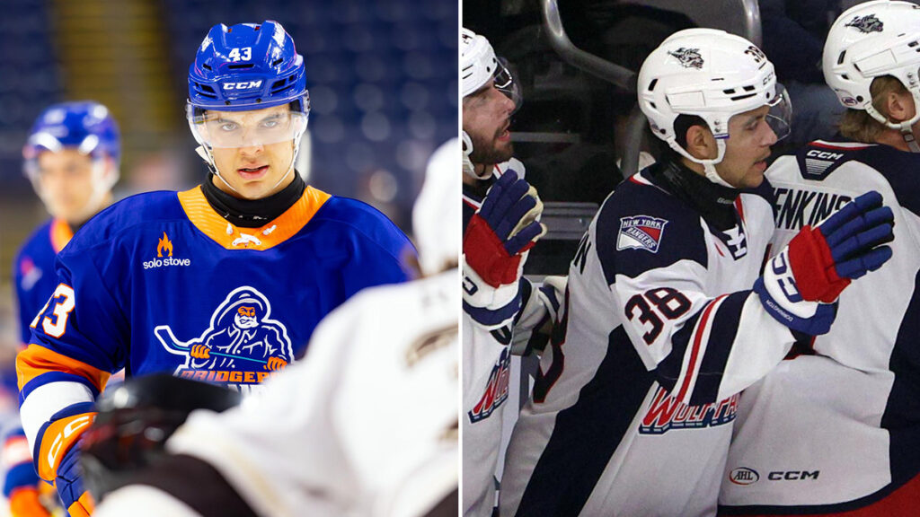 theahl.com