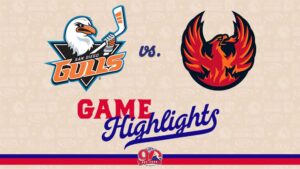 Gulls vs. Firebirds | Nov. 21, 2025