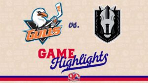 Gulls vs. Silver Knights | Nov. 5, 2025