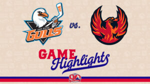 Gulls vs. Firebirds | Oct. 10, 2025