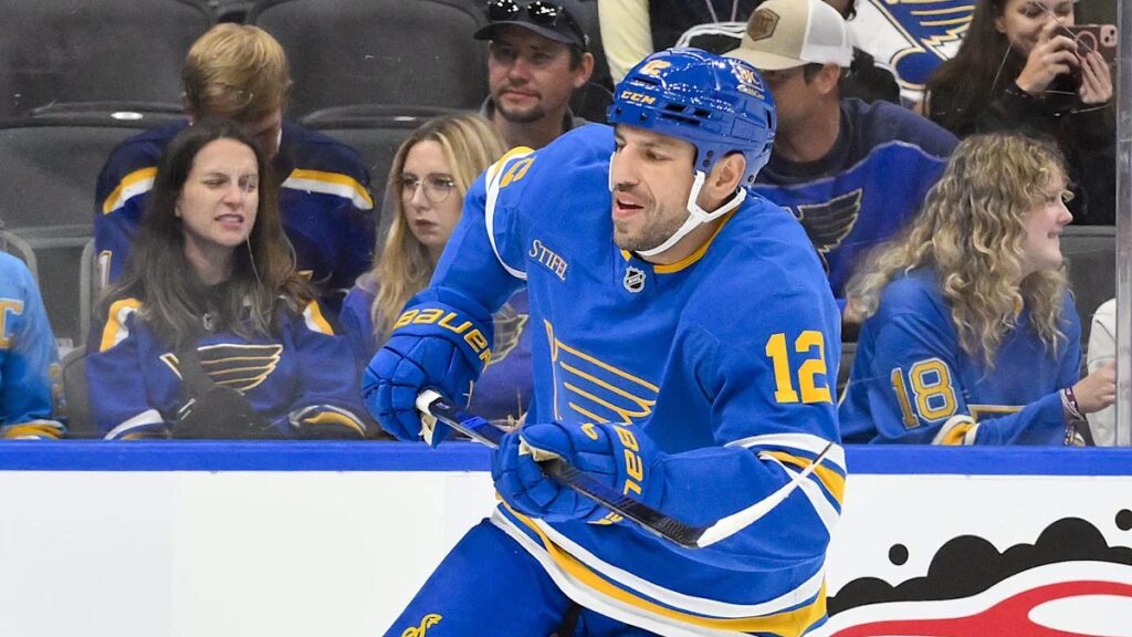Thunderbirds sign Lucic to tryout