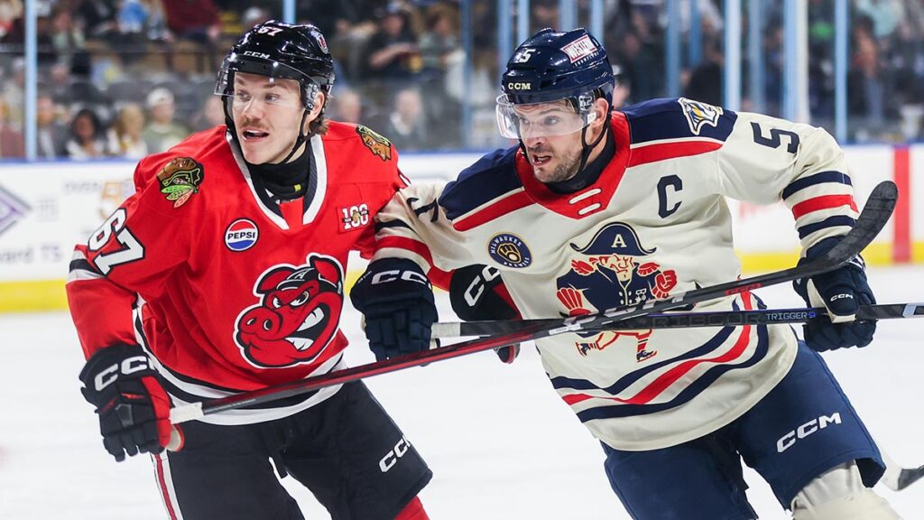Saturday’s IceHogs-Admirals game moved to Sunday | TheAHL.com