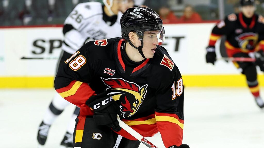 Gridin off to flying start with Wranglers | TheAHL.com