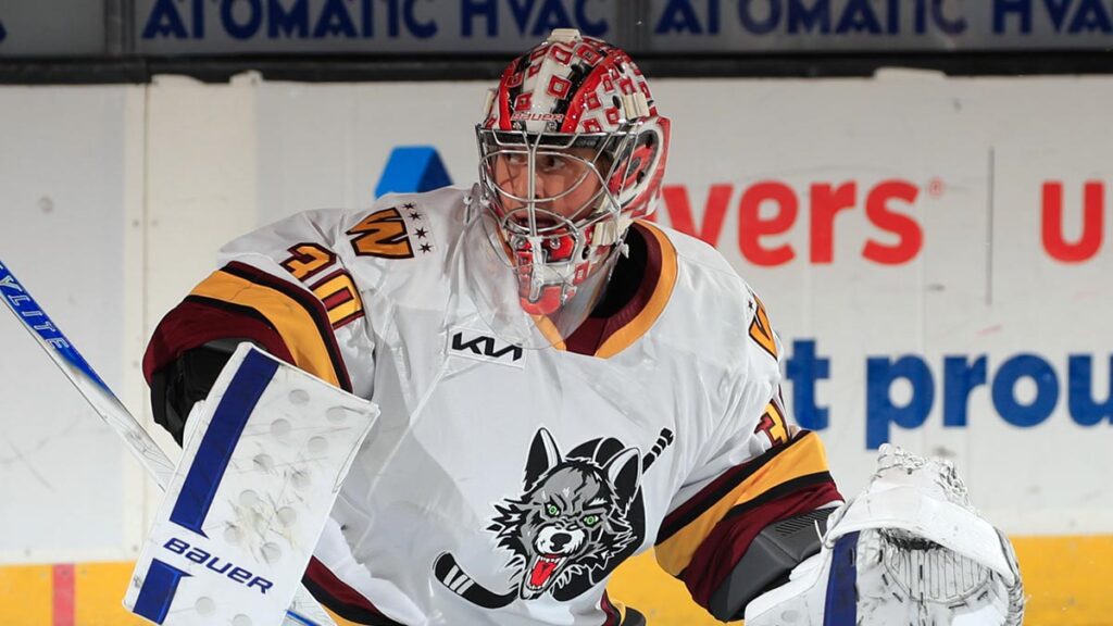 Goaltending reinforcements bring support to AHL clubs | TheAHL.com