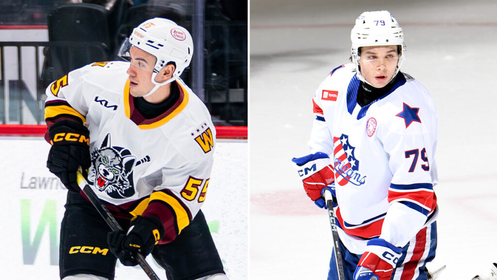 Sabres acquire Bayreuther, send Neuchev to Hurricanes | TheAHL.com