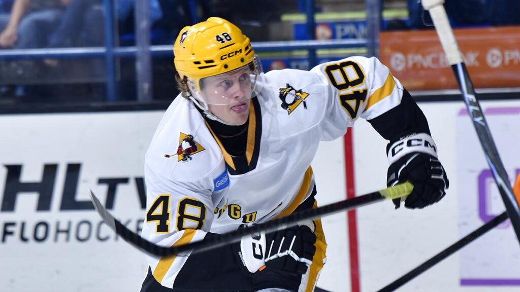 Avalanche acquire Puustinen
