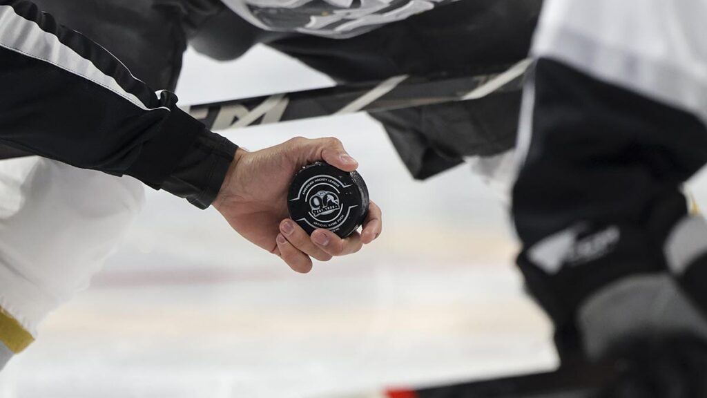 AHL action to air on NHL Network, SiriusXM NHL Network Radio | TheAHL.com