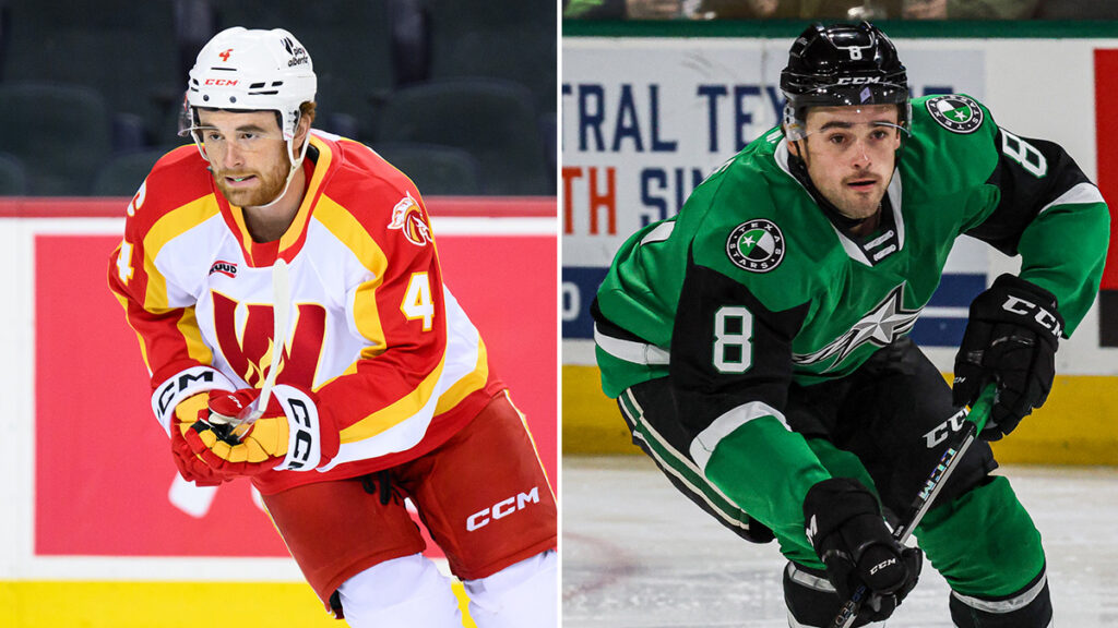 Stars acquire defenseman Poirier, Flames add White
