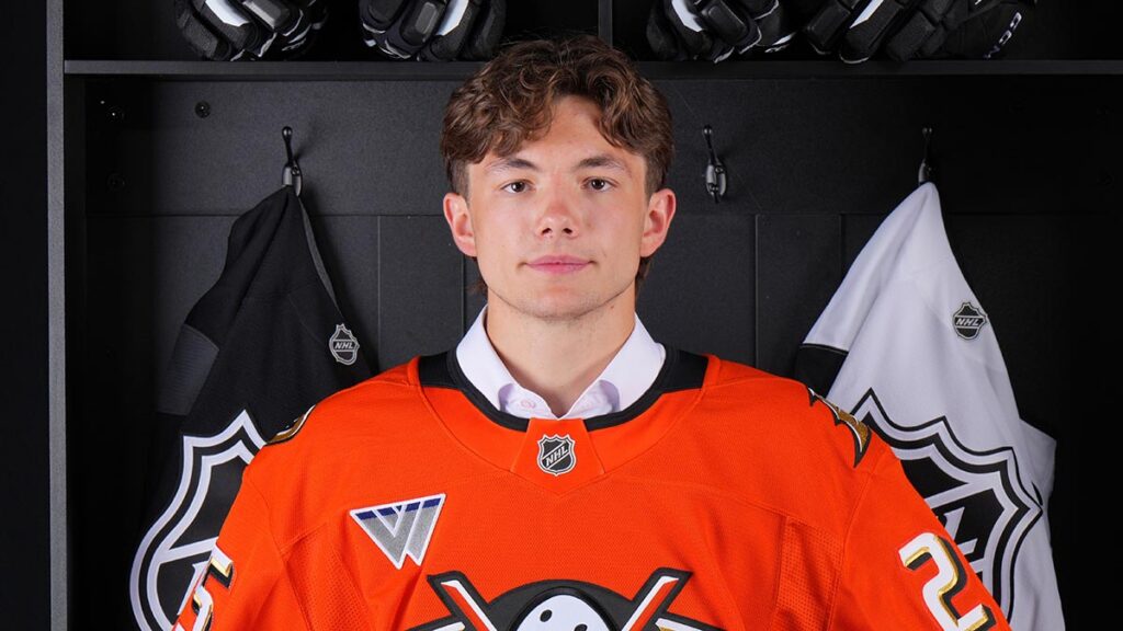Gulls sign Anaheim first-rounder McQueen to tryout | TheAHL.com