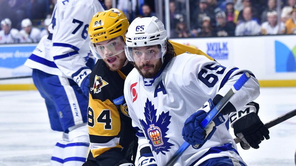 AHL Morning Skate: May 29, 2026 | TheAHL.com
