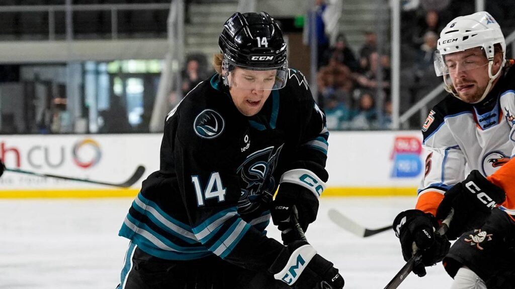 The Senators acquired Halttunen in a deal with Shark | TheAHL.com The Senators acquired Halttunen in a deal with Shark | TheAHL.com