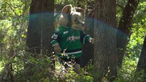 2026-27 Schedule Release: Texas Stars