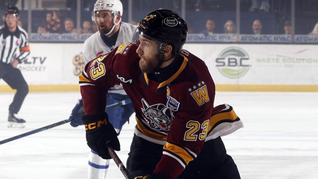 theahl.com