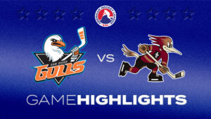 Gulls vs. Roadrunners | Oct. 16, 2026