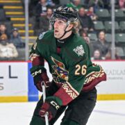 Dmitri Simashev<BR>Tucson Roadrunners